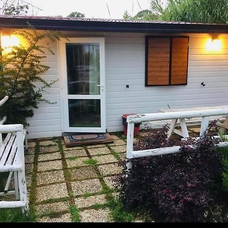 Pontinia Oasi Di Francesca B&B المظهر الخارجي الصورة