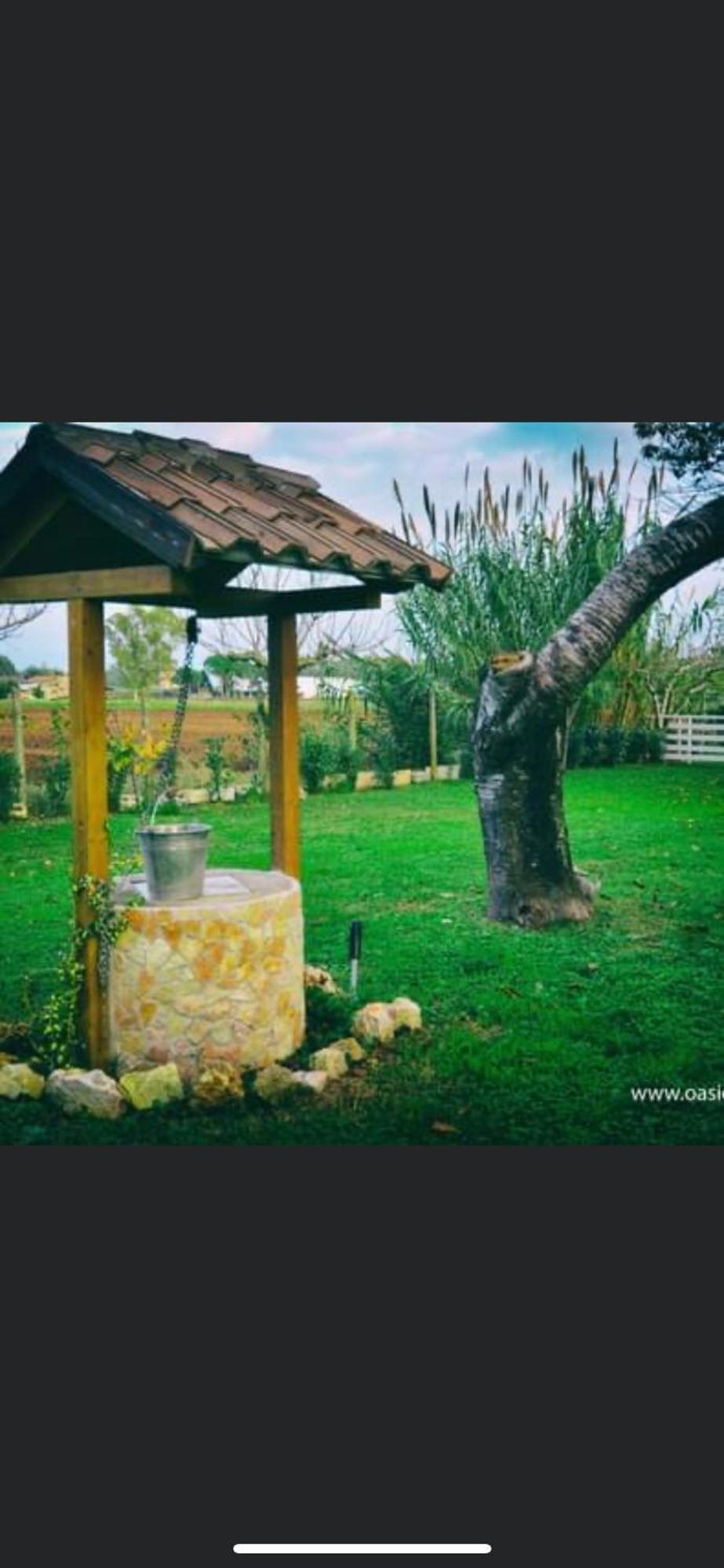 Pontinia Oasi Di Francesca B&B المظهر الخارجي الصورة
